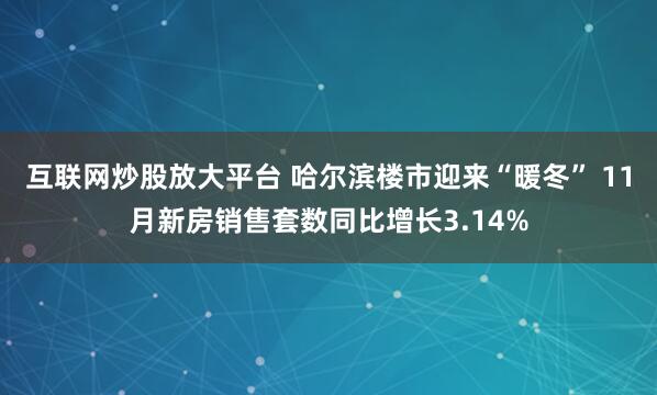 互联网炒股放大平台 哈尔滨楼市迎来“暖冬” 11月新房销售套数同比增长3.14%