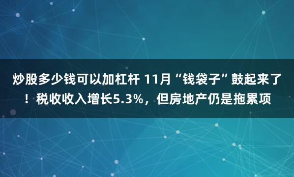 炒股多少钱可以加杠杆 11月“钱袋子”鼓起来了！税收收入增长5.3%，但房地产仍是拖累项