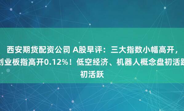 西安期货配资公司 A股早评：三大指数小幅高开，创业板指高开0.12%！低空经济、机器人概念盘初活跃