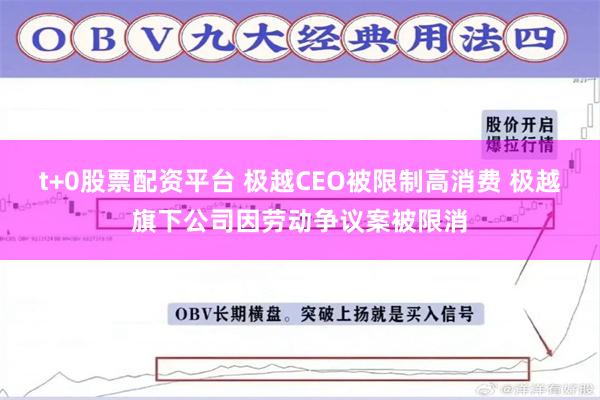 t+0股票配资平台 极越CEO被限制高消费 极越旗下公司因劳动争议案被限消