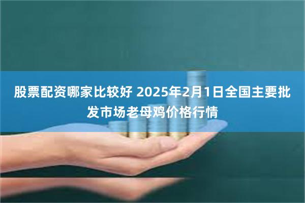 股票配资哪家比较好 2025年2月1日全国主要批发市场老母鸡价格行情