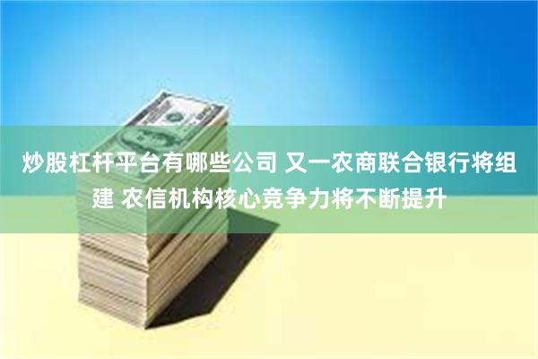 炒股杠杆平台有哪些公司 又一农商联合银行将组建 农信机构核心竞争力将不断提升