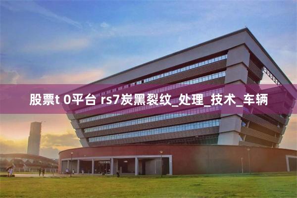股票t 0平台 rs7炭黑裂纹_处理_技术_车辆