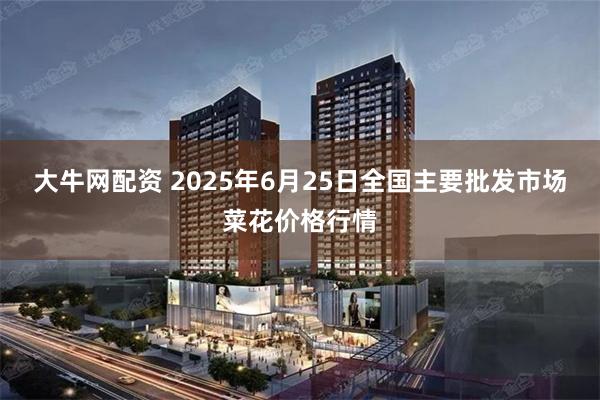 大牛网配资 2025年6月25日全国主要批发市场菜花价格行情