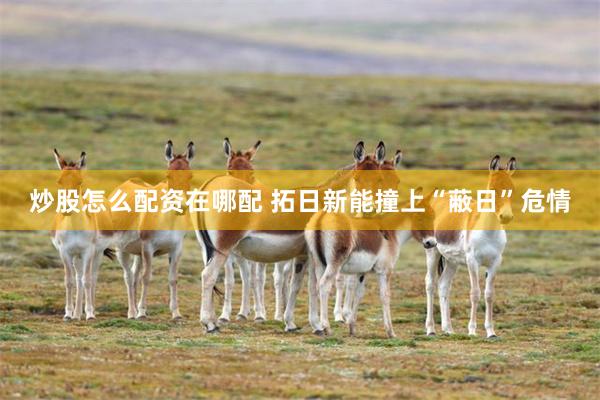 炒股怎么配资在哪配 拓日新能撞上“蔽日”危情
